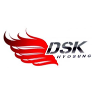 dsk